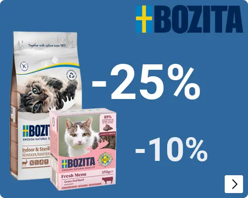 Bozita KATTEN